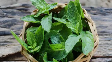 garnishing-instructions-image